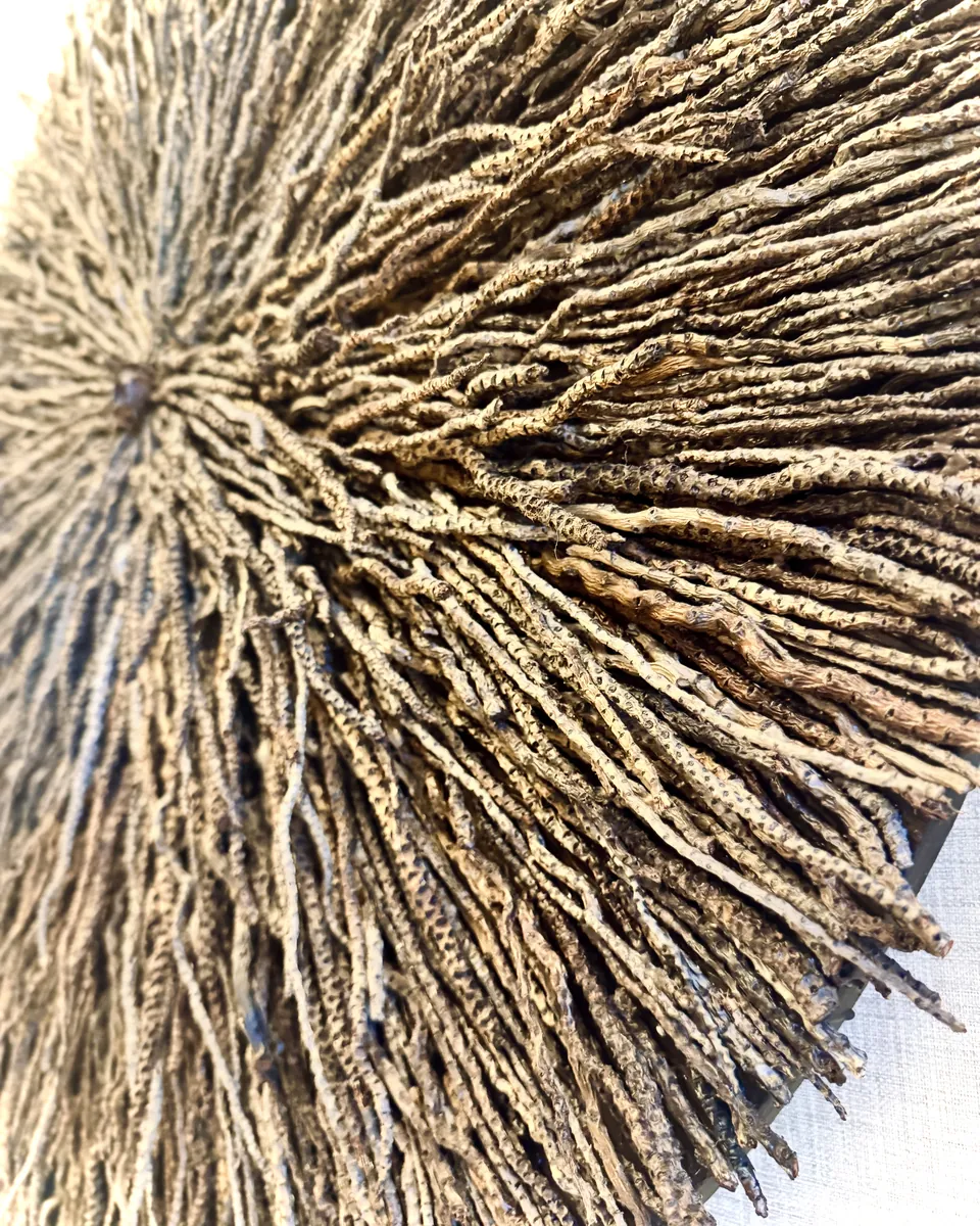 Detail of a Mar de Ensueños panel with fibrous strands radiating from its center