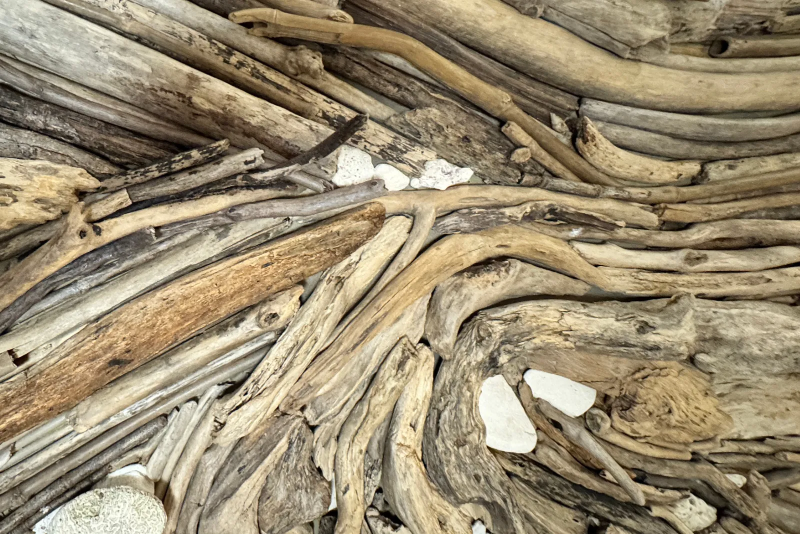 Detail of Marea Serena: layered driftwood and white pumice stone